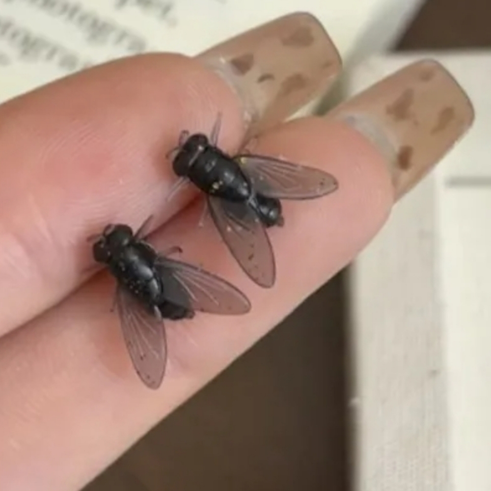 HALLOWEEN Black Fly Stud Earrings Novelty Jewelry / Soft Flexible Wings